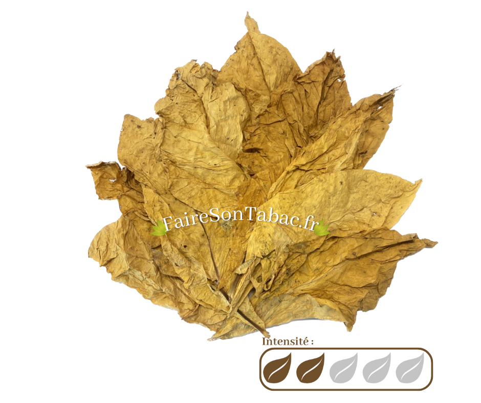 Feuilles de tabac Virginia Italia